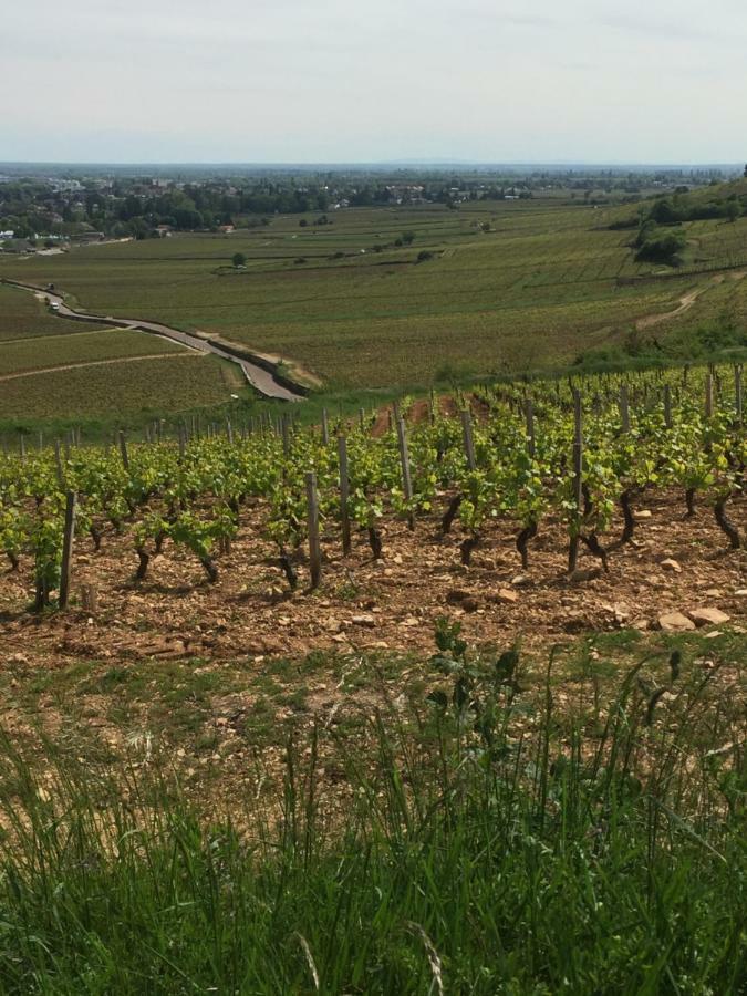 Maison A Beaune 博讷 外观 照片